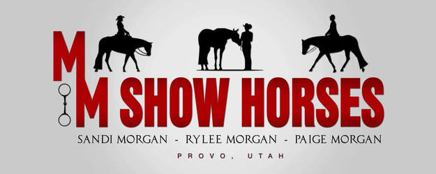 MM Show Horse